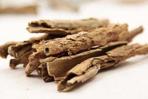 地骨皮的功效与作用 能清热去火，减肥瘦身还能降三高