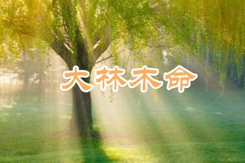 大林木命是什么意思，大林木命人群适合哪些职业