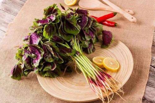 苋菜和野苋菜有什么区别，您更喜欢吃苋菜还是野苋菜呢