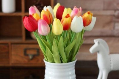 郁金香怎么养？郁金香的养殖方法