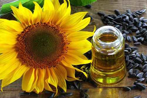 葵花籽油价格，2019葵花籽油最新报价