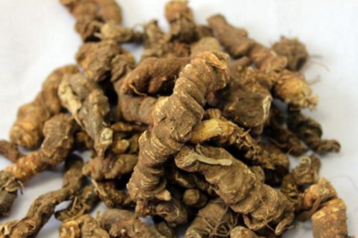 胡黄连的功效与作用，可清热除湿止泻但虚寒和孕妇不能食用