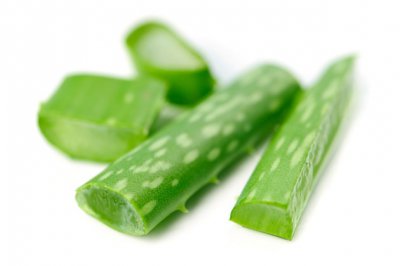 十种有益于人体健康的花卉植物，很适合家养！