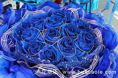 玫瑰花语：99朵蓝色妖姬代表什么
