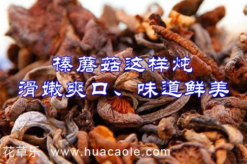 榛蘑菇需要炖多久吃才能锁住营养，让榛蘑菇滑嫩爽口、味道更鲜美