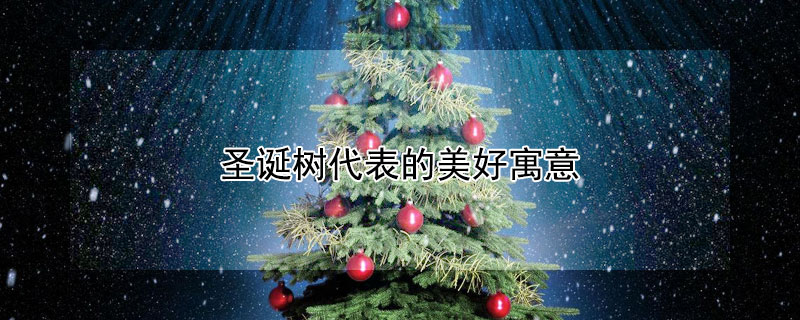 圣诞树代表的美好寓意